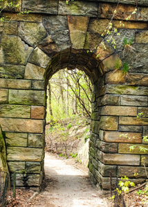 0584 Central Park Arch