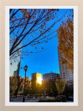 Load image into Gallery viewer, 0452 Urban Park
