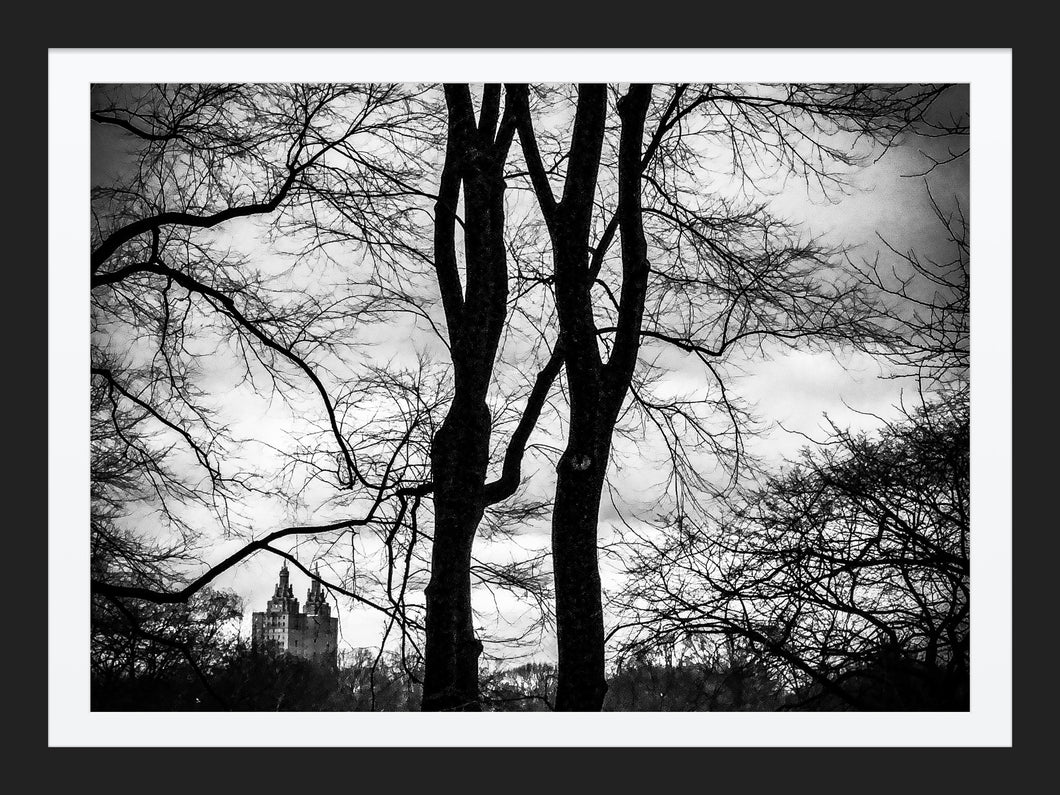 0203 Winter In Central Park