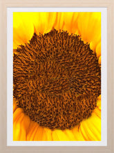 Load image into Gallery viewer, 0419 Sunflower