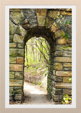 Load image into Gallery viewer, 0584 Central Park Arch