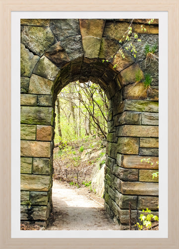 0584 Central Park Arch