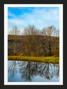 0449 Autumnal Reflections