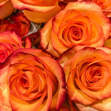 Load image into Gallery viewer, 0182 Orange Roses