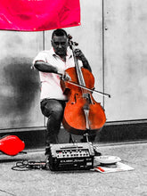 Load image into Gallery viewer, 0303 Cellist