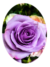 Load image into Gallery viewer, 0430 Lavender Rose