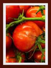 Load image into Gallery viewer, 0414 Tomatoes On The Vine