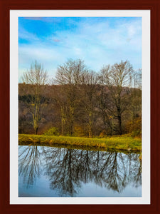 0449 Autumnal Reflections