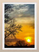 Load image into Gallery viewer, 0082 Sunset with Branches