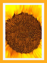 Load image into Gallery viewer, 0419 Sunflower