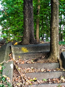 0552 Mysterious Steps