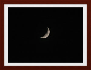 0503 Waning Crescent