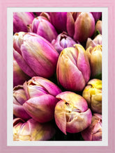 Load image into Gallery viewer, 0466 Pink Tulips