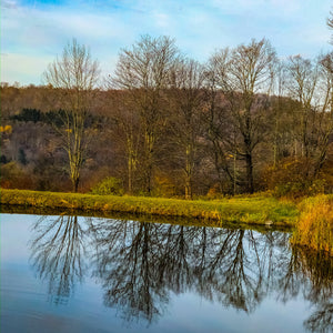 0449 Autumnal Reflections