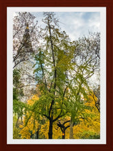 Load image into Gallery viewer, 0183 Autumn In The Park