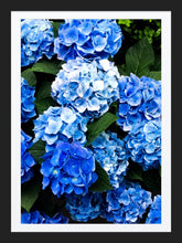 Load image into Gallery viewer, 0317 Pops of Blue