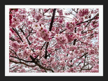 Load image into Gallery viewer, 0627 Beautiful Cherry Blossom