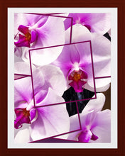 Load image into Gallery viewer, 0291 Orchid Collage