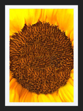 Load image into Gallery viewer, 0419 Sunflower