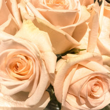 Load image into Gallery viewer, 0506 Peach Roses