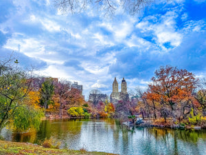 0617 Central Park In Fall