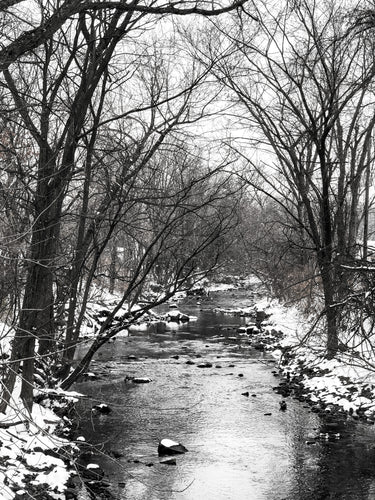 0565 Wintry Creek