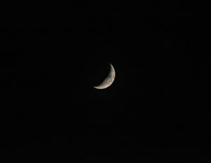 0503 Waning Crescent