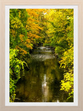 Load image into Gallery viewer, 0561 Peaceful Brook