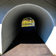 Load image into Gallery viewer, 0558 Through The Tunnel