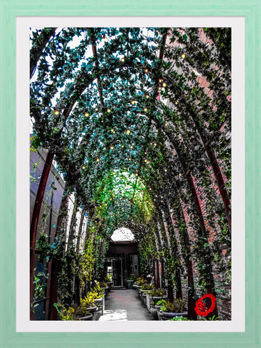 0376 Green Walkway