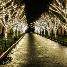 Load image into Gallery viewer, 0479 Lit Tree Path