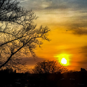 0082 Sunset with Branches