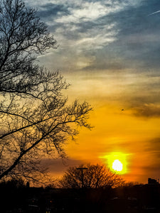 0082 Sunset with Branches