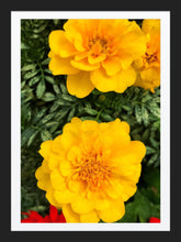 Load image into Gallery viewer, 0422 Summer Blooms