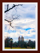Load image into Gallery viewer, 0227 East Central Park