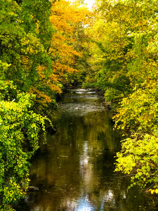 0561 Peaceful Brook