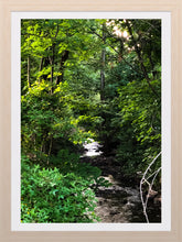 Load image into Gallery viewer, 0352 Through The Woods