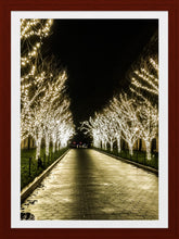 Load image into Gallery viewer, 0479 Lit Tree Path