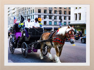 0304 Horse Carriage