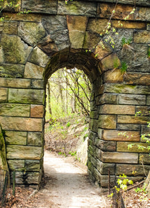 0584 Central Park Arch