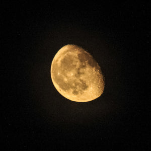 0540 Gibbous Corn Moon