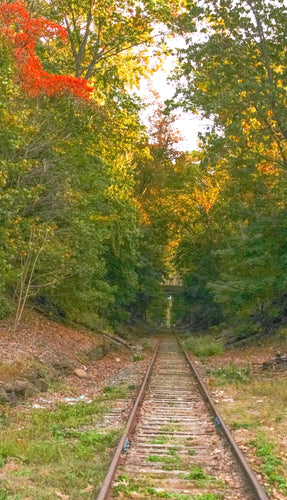 0566 Abandoned Tracks