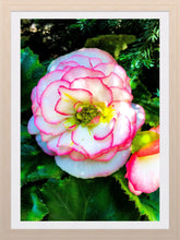 Load image into Gallery viewer, 0300 May&#39;s Flower