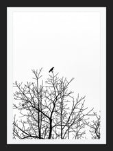 Load image into Gallery viewer, 0625 Crow