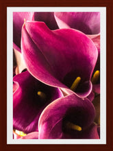 Load image into Gallery viewer, 0446 Pink Callas
