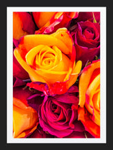 Load image into Gallery viewer, 0618 Fiery Roses
