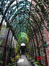 Load image into Gallery viewer, 0376 Green Walkway