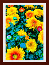 Load image into Gallery viewer, 0162 Bright Blossoms
