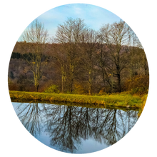 Load image into Gallery viewer, 0449 Autumnal Reflections