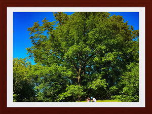 0305 Picnic For Two